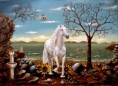 /album/galleria-fotografica/a2007-cavallo-50-70-jpg/